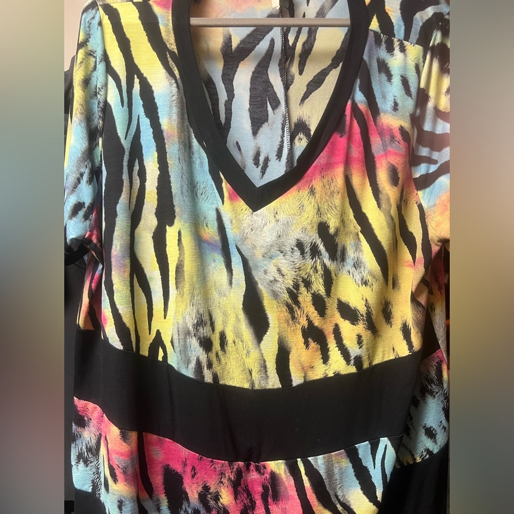 Colored zebra